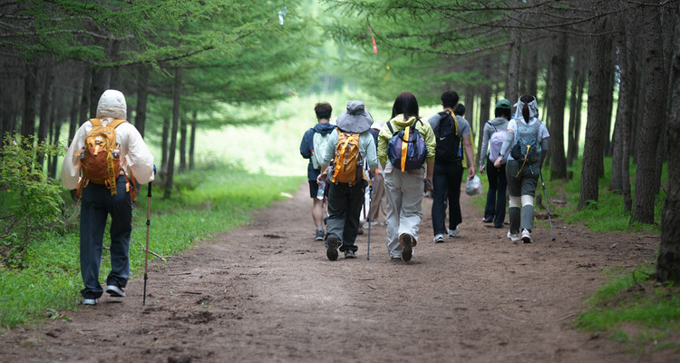 【北京一周一山·东甸子梁 】东甸子梁的夏日童话 | 打卡京西最美高山草甸，看风车、赏花海、避酷暑~