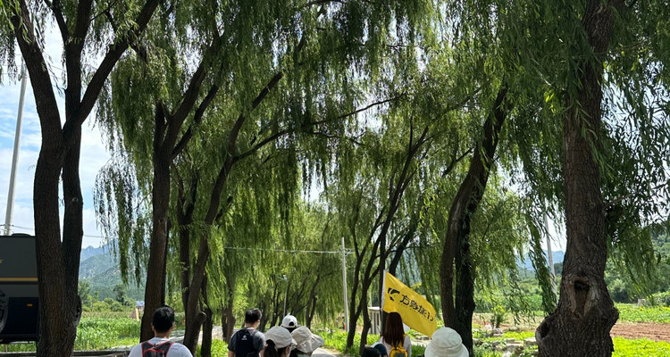 【北京一周一山·莲花滩 】早鸟优惠来袭丨童话森林里的漫步+奔向山谷秘境深处一线天+感受山野乐趣~