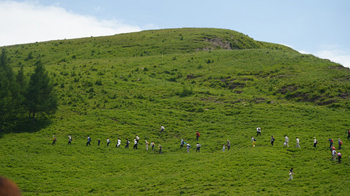 【北京一周一山·东甸子梁 】东甸子梁的夏日童话 | 打卡京西最美高山草甸，看风车、赏花海、避酷暑~