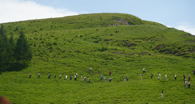 【北京一周一山·东甸子梁 】东甸子梁的夏日童话 | 打卡京西最美高山草甸，看风车、赏花海、避酷暑~
