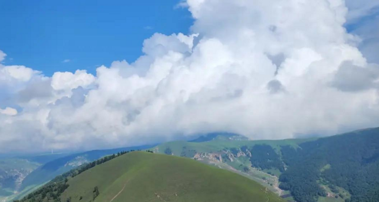 【北京一周一山·东甸子梁 】东甸子梁的夏日童话 | 打卡京西最美高山草甸，看风车、赏花海、避酷暑~