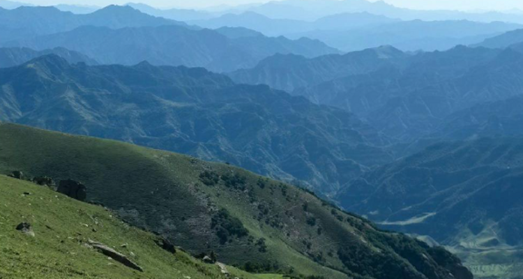【北京一周一山·东甸子梁 】东甸子梁的夏日童话 | 打卡京西最美高山草甸，看风车、赏花海、避酷暑~