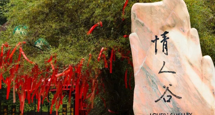  【遇见晋西·秘境芦芽山3日】早鸟优惠来袭丨探万年冰洞+观悬空村奇观+登芦芽雄峰+马仑草原+雁门关+小众路线精品纯玩+38人舒适团！
