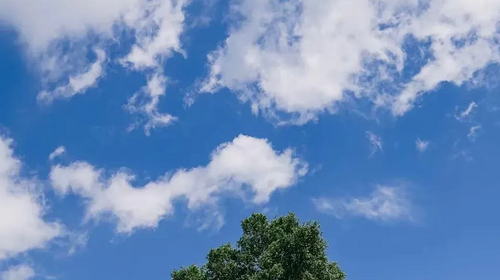 【北京一周一山·马连顶】夏末秋初的浪漫：去马连顶，赴一场风车与野花的约会~