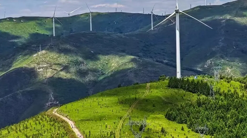 【北京一周一山·马连顶】夏末秋初的浪漫：去马连顶，赴一场风车与野花的约会~