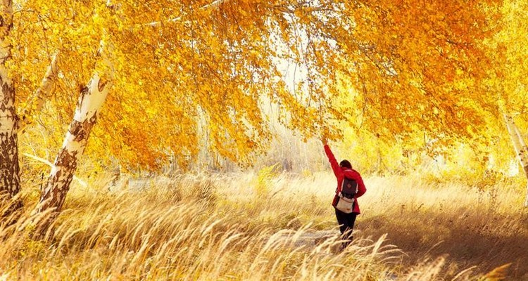 【行走双草原·多伦乌兰布统3日】早鸟优惠来袭丨乌兰布统徒步16km+浑善达克沙地徒步15km+私家牧场徒步10KM+双草原徒步+草原、沙漠、密林、湖泊全地形覆盖~