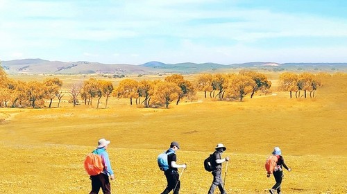 【行走双草原·多伦乌兰布统3日】早鸟优惠来袭丨乌兰布统徒步16km+浑善达克沙地徒步15km+私家牧场徒步10KM+双草原徒步+草原、沙漠、密林、湖泊全地形覆盖~