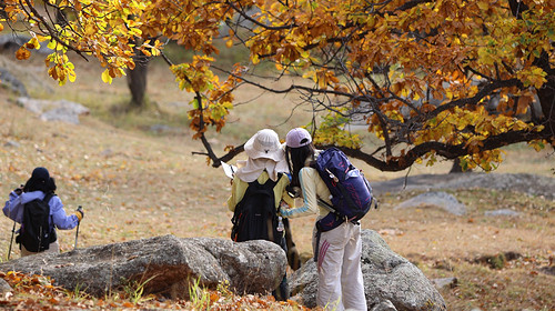 【山·谷·沙｜大青山徒步3日】早鸟优惠来袭丨超值特价丨行走大青山寻裂谷奇观+漫步美林谷赏山野风光+徒步布日敦探大漠秘境~