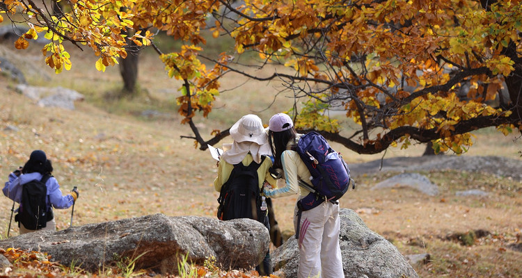 【山·谷·沙｜大青山徒步3日】早鸟优惠来袭丨超值特价丨行走大青山寻裂谷奇观+漫步美林谷赏山野风光+徒步布日敦探大漠秘境~