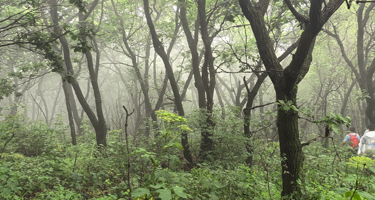 【北京一周一山·凤凰坨】早鸟优惠来袭丨探访凤凰坨+打卡户外驴友的天堂+徒步感受大自然的魅力~