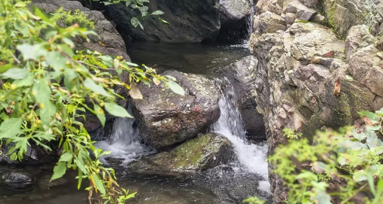 【北京一周一山·凤凰坨】早鸟优惠来袭丨探访凤凰坨+打卡户外驴友的天堂+徒步感受大自然的魅力~