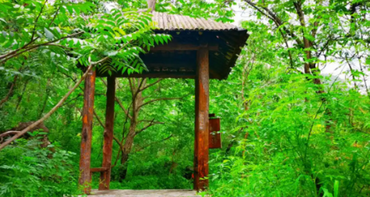 【北京一周一山·瓜草地】‌京西绿野仙踪：瓜草地轻徒步、赏瀑、踏水、探古道的完美夏日路线~