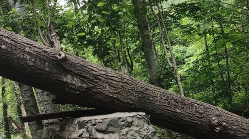 【北京一周一山·瓜草地】‌京西绿野仙踪：瓜草地轻徒步、赏瀑、踏水、探古道的完美夏日路线~