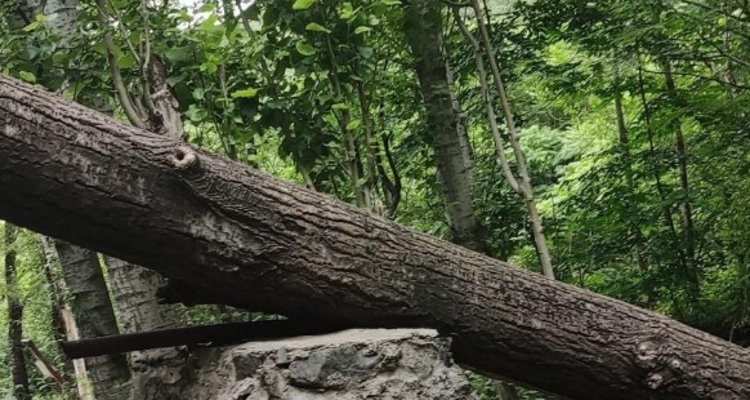 【北京一周一山·瓜草地】‌京西绿野仙踪：瓜草地轻徒步、赏瀑、踏水、探古道的完美夏日路线~