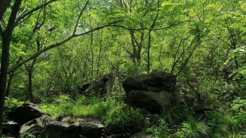 【北京一周一山·瓜草地】‌京西绿野仙踪：瓜草地轻徒步、赏瀑、踏水、探古道的完美夏日路线~