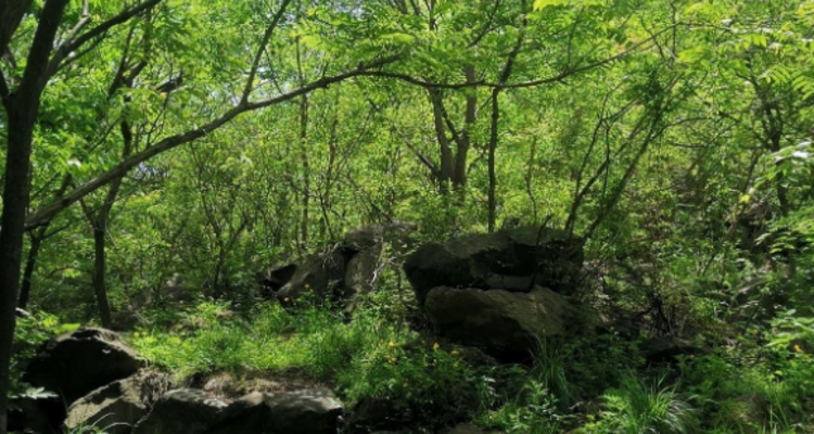 【北京一周一山·瓜草地】‌京西绿野仙踪：瓜草地轻徒步、赏瀑、踏水、探古道的完美夏日路线~