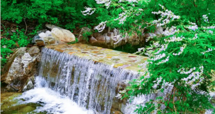 【北京一周一山·瓜草地】‌京西绿野仙踪：瓜草地轻徒步、赏瀑、踏水、探古道的完美夏日路线~