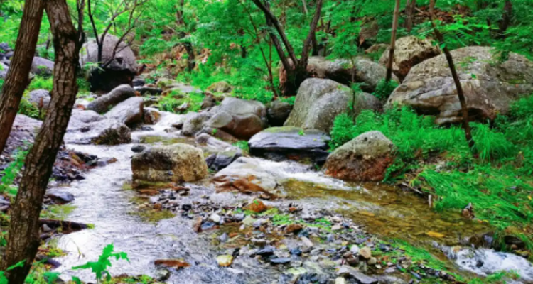【北京一周一山·瓜草地】‌京西绿野仙踪：瓜草地轻徒步、赏瀑、踏水、探古道的完美夏日路线~