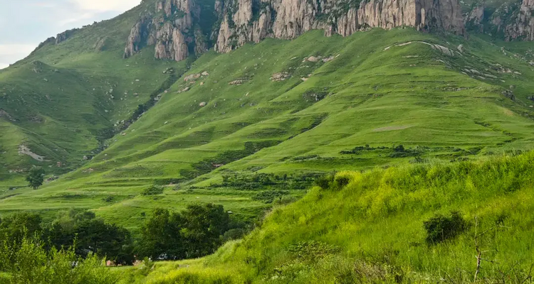 【北京一周一山·青崖子】20℃清凉秘境！闯入蔚县青崖子，邂逅云端草甸+怪石石林+巨型风车