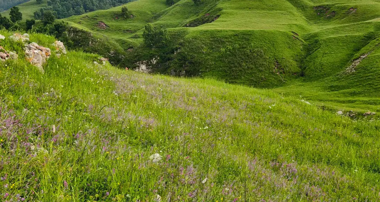 【北京一周一山·青崖子】20℃清凉秘境！闯入蔚县青崖子，邂逅云端草甸+怪石石林+巨型风车