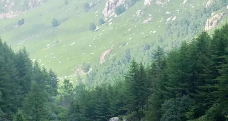 【北京一周一山·青崖子】20℃清凉秘境！闯入蔚县青崖子，邂逅云端草甸+怪石石林+巨型风车