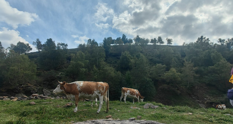 【北京一周一山·青崖子】20℃清凉秘境！闯入蔚县青崖子，邂逅云端草甸+怪石石林+巨型风车