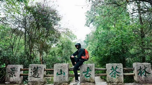 【普洱人文纪5日】西双版纳集散+景迈山+普洱+太阳河森林公园+咖啡庄园+基诺山+2-8人小团
