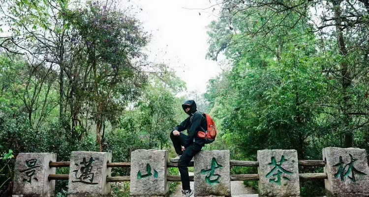【普洱人文纪5日】西双版纳集散+景迈山+普洱+太阳河森林公园+咖啡庄园+基诺山+2-8人小团