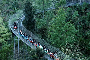 【普洱人文纪5日】西双版纳集散+景迈山+普洱+太阳河森林公园+咖啡庄园+基诺山+2-8人小团