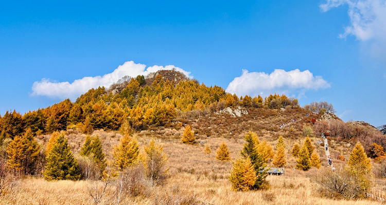 【北京一周一山·秋林铺】京西秋日限定 | 闯入秋林铺的童话森林，踩碎一地阳光