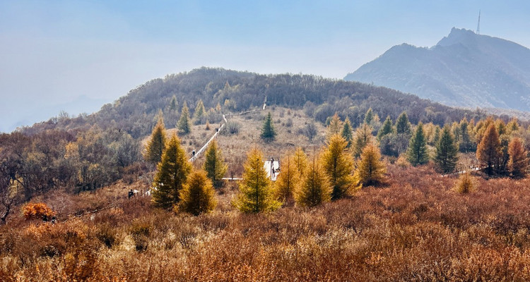 【北京一周一山·秋林铺】京西秋日限定 | 闯入秋林铺的童话森林，踩碎一地阳光