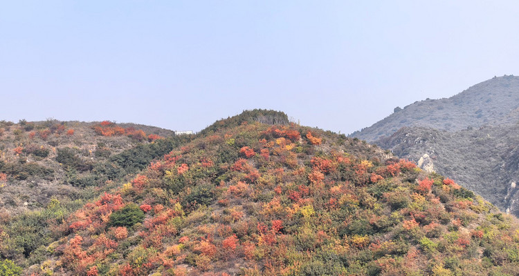 【北京一周一山·舞彩浅山】舞彩浅山步道+赏红叶满山+寻五色金秋~