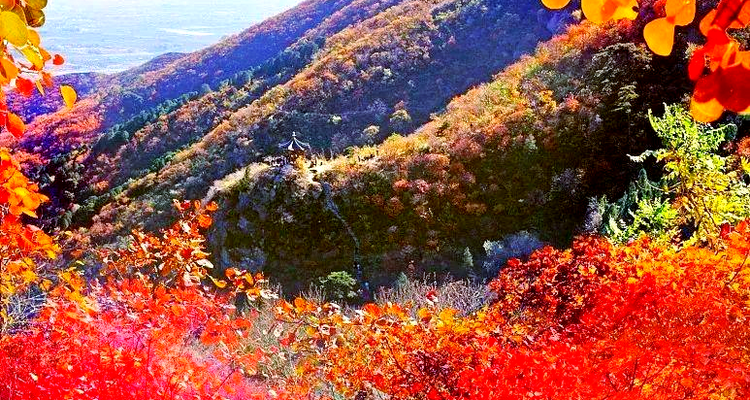 【北京一周一山·泗马沟药王谷】6公里休闲徒步丨登高赏红叶+登山泗马沟