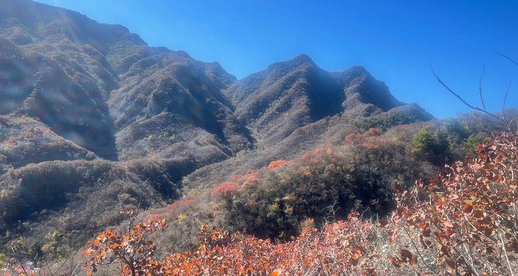 【北京一周一山·香屯】早鸟优惠来袭丨千亩板栗园与明代长城环抱下的徒步秘境：溪流潺潺，长城蜿蜒，感受山谷间的纯净之美