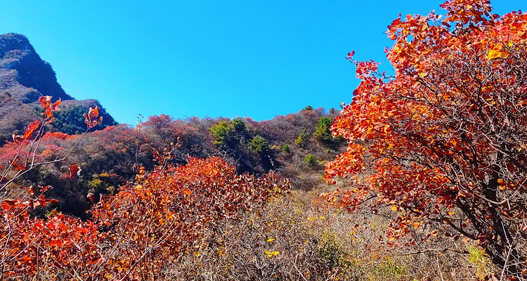 【北京一周一山·龙门涧】京西小桂林的秋日私语：赏“北方喀斯特之花”+打卡爨底下民俗村落+观沧桑古建~