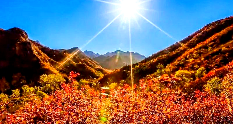 【北京一周一山·泗马沟药王谷】6公里休闲徒步丨登高赏红叶+登山泗马沟