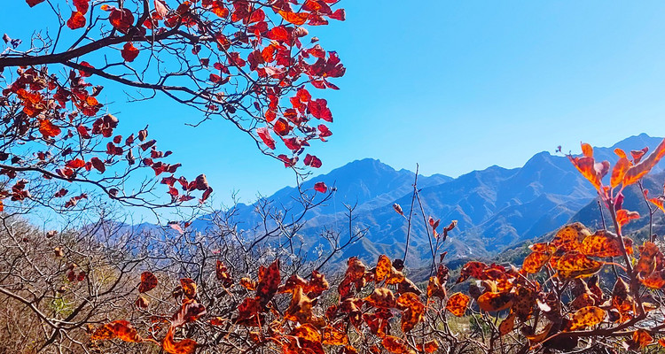 【北京一周一山·龙门涧】京西小桂林的秋日私语：赏“北方喀斯特之花”+打卡爨底下民俗村落+观沧桑古建~