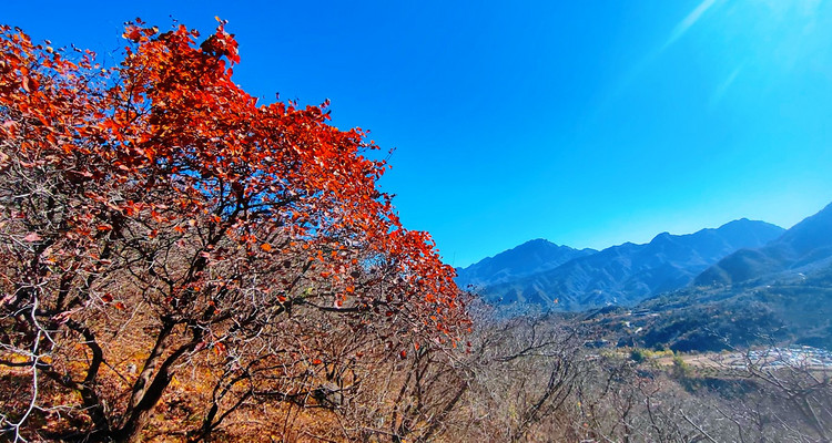 【北京一周一山·龙门涧】京西小桂林的秋日私语：赏“北方喀斯特之花”+打卡爨底下民俗村落+观沧桑古建~