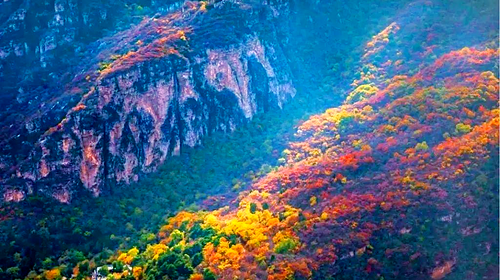 【北京一周一山·泗马沟药王谷】6公里休闲徒步丨登高赏红叶+登山泗马沟
