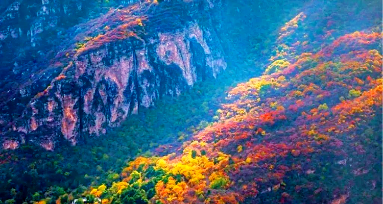 【北京一周一山·泗马沟药王谷】6公里休闲徒步丨登高赏红叶+登山泗马沟