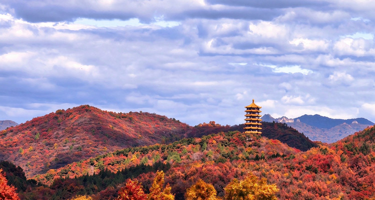 【北京一周一山·金海湖】京郊小瑞士的秋日童话：在金海湖遇见最美层林尽染~