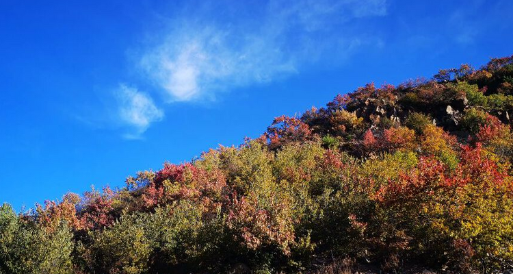 【北京一周一山·海坨山南大梁】当海坨山与秋天邂逅，那种美会惊艳到你