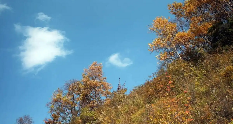 【北京一周一山·黄草梁】十里草甸染金甲，七座楼头望古今：登顶黄草梁，看漫山遍野的秋日辉煌