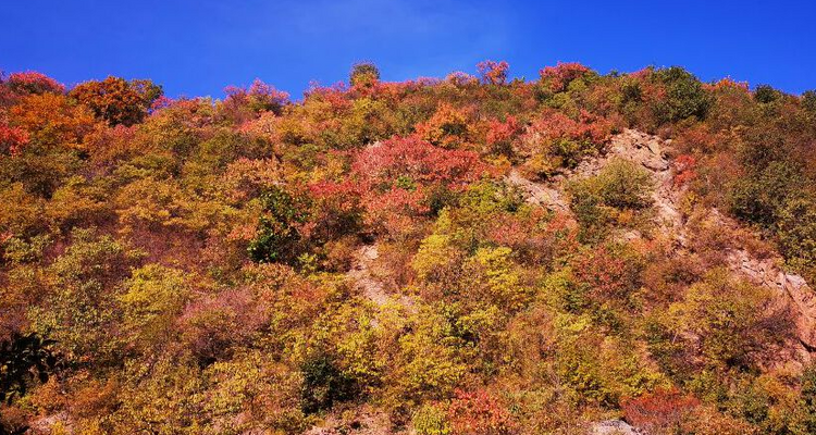 【北京一周一山·海坨山南大梁】当海坨山与秋天邂逅，那种美会惊艳到你