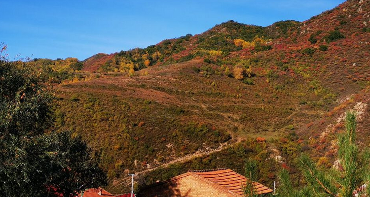 【北京一周一山·海坨山南大梁】当海坨山与秋天邂逅，那种美会惊艳到你