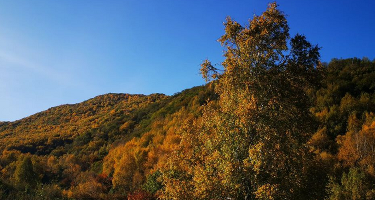 【北京一周一山·海坨山南大梁】当海坨山与秋天邂逅，那种美会惊艳到你