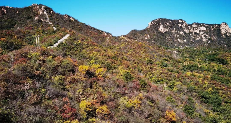 【北京一周一山·香屯】早鸟优惠来袭丨千亩板栗园与明代长城环抱下的徒步秘境：溪流潺潺，长城蜿蜒，感受山谷间的纯净之美