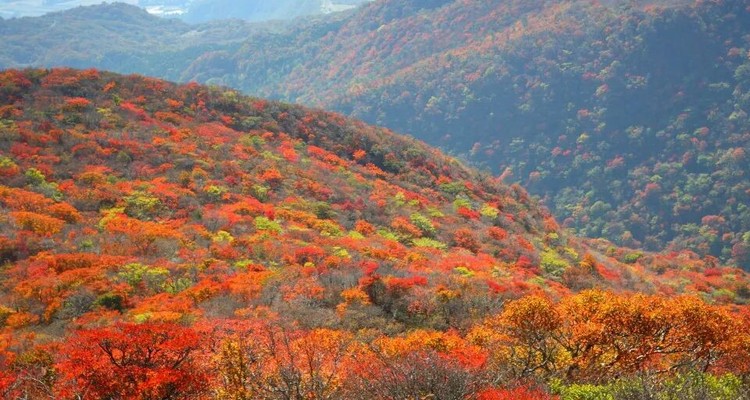 【北京一周一山·百花山】京西秘境：在百花山，遇见最绚烂的秋色画卷~