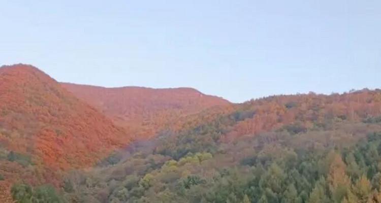 【北京一周一山·百花山】京西秘境：在百花山，遇见最绚烂的秋色画卷~