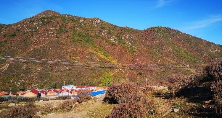 【北京一周一山·海坨山南大梁】当海坨山与秋天邂逅，那种美会惊艳到你